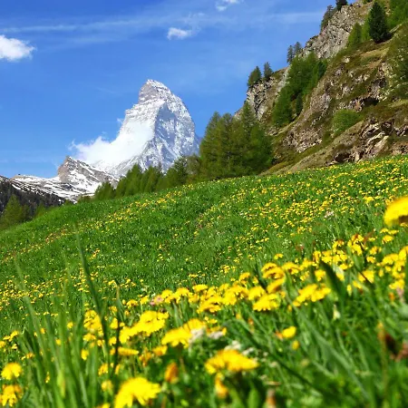 Appartement Beaulieu-2 By Interhome Zermatt